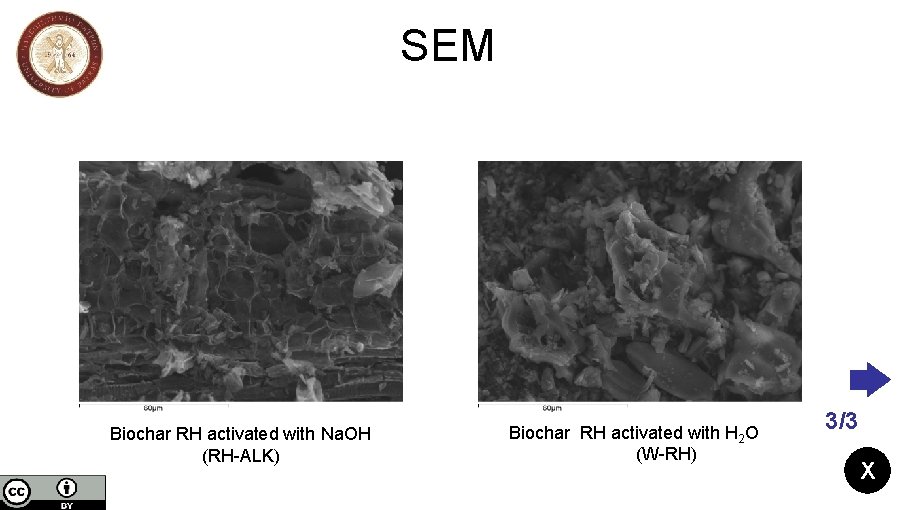 SEM Biochar RH activated with Na. OH (RH-ALK) Biochar RH activated with H 2 SEM Biochar RH activated with Na. OH (RH-ALK) Biochar RH activated with H 2