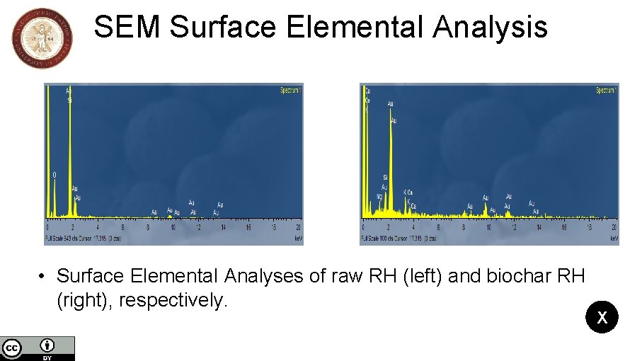 SEM Surface Elemental Analysis • Surface Elemental Analyses of raw RH (left) and biochar SEM Surface Elemental Analysis • Surface Elemental Analyses of raw RH (left) and biochar
