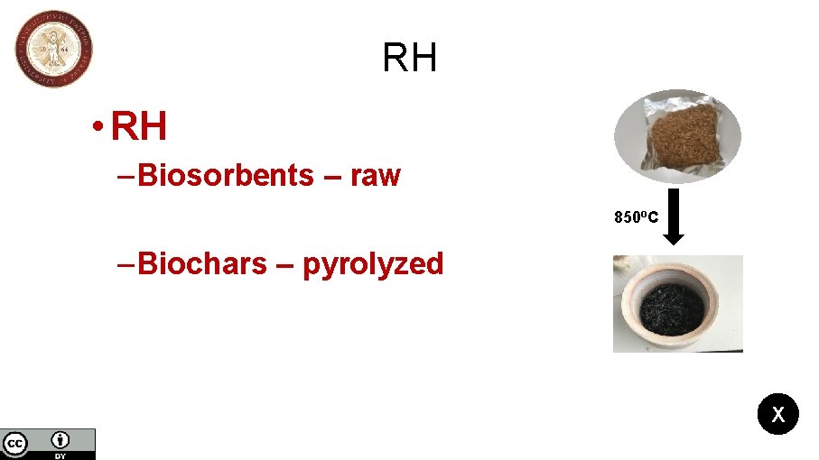 RH • RH – Biosorbents – raw 850 o. C – Biochars – pyrolyzed RH • RH – Biosorbents – raw 850 o. C – Biochars – pyrolyzed