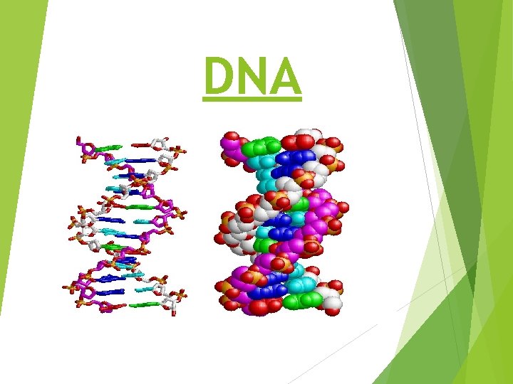 DNA 