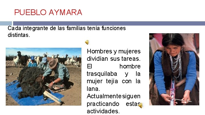 PUEBLO AYMARA Cada integrante de las familias tenía funciones distintas. Hombres y mujeres dividían