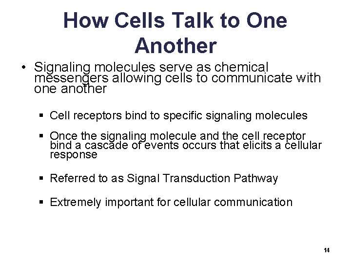 How Cells Talk to One Another • Signaling molecules serve as chemical messengers allowing