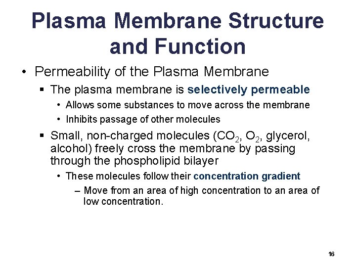 Plasma Membrane Structure and Function • Permeability of the Plasma Membrane § The plasma