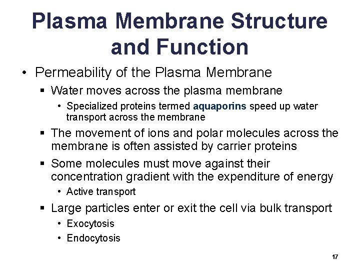 Plasma Membrane Structure and Function • Permeability of the Plasma Membrane § Water moves