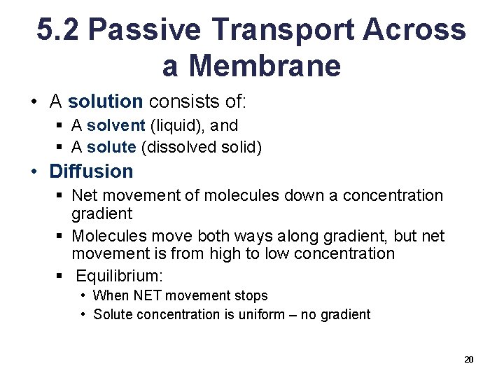 5. 2 Passive Transport Across a Membrane • A solution consists of: § A
