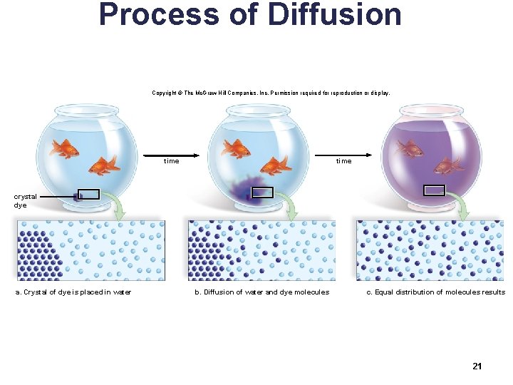 Process of Diffusion Copyright © The Mc. Graw-Hill Companies, Inc. Permission required for reproduction