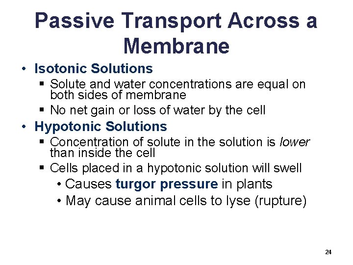 Passive Transport Across a Membrane • Isotonic Solutions § Solute and water concentrations are