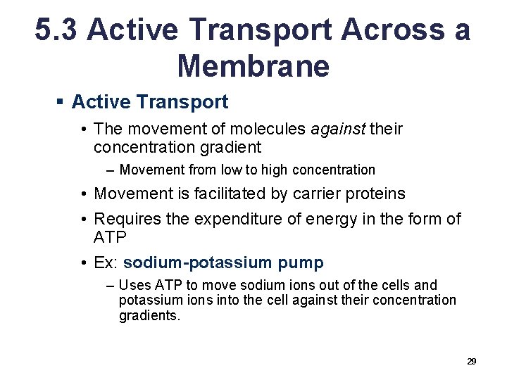 5. 3 Active Transport Across a Membrane § Active Transport • The movement of