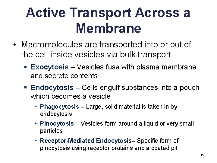 Active Transport Across a Membrane • Macromolecules are transported into or out of the