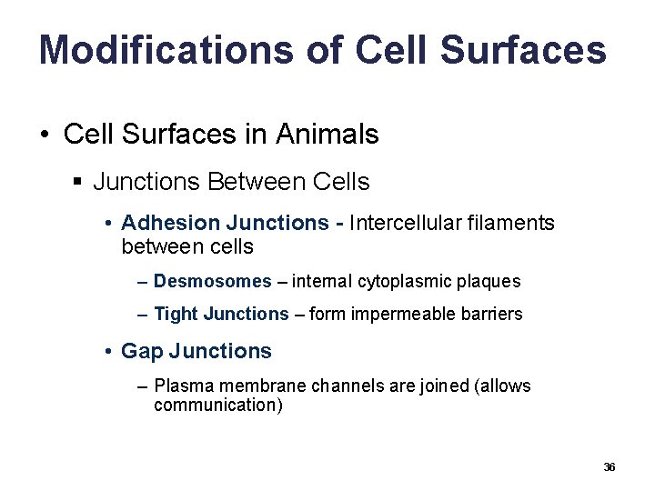 Modifications of Cell Surfaces • Cell Surfaces in Animals § Junctions Between Cells •