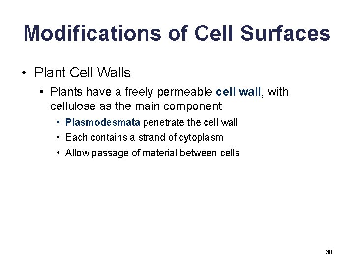 Modifications of Cell Surfaces • Plant Cell Walls § Plants have a freely permeable