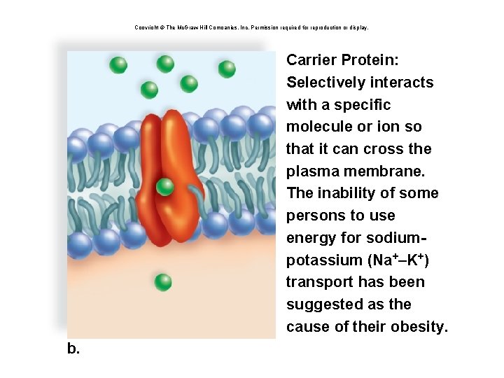 Copyright © The Mc. Graw-Hill Companies, Inc. Permission required for reproduction or display. Carrier
