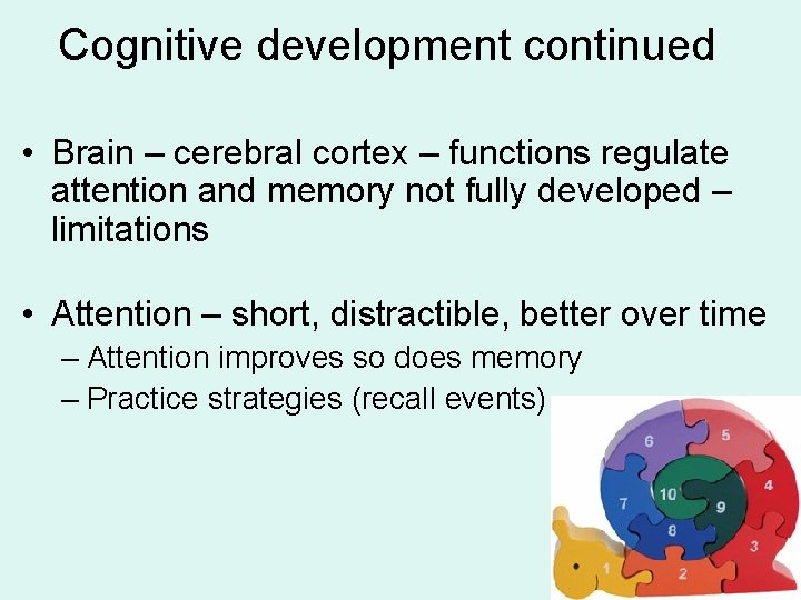 Cognitive development continued • Brain – cerebral cortex – functions regulate attention and memory