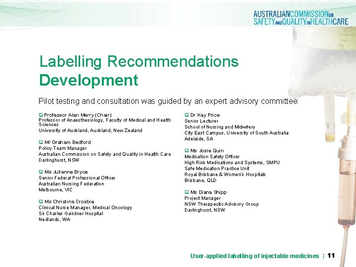 Labelling Recommendations Development Pilot testing and consultation was guided by an expert advisory committee: