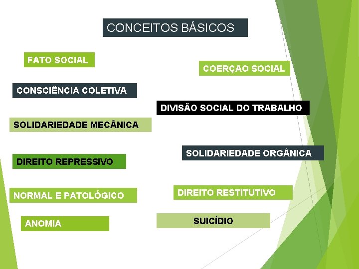 CONCEITOS BÁSICOS FATO SOCIAL COERÇAO SOCIAL CONSCIÊNCIA COLETIVA DIVISÃO SOCIAL DO TRABALHO SOLIDARIEDADE MEC