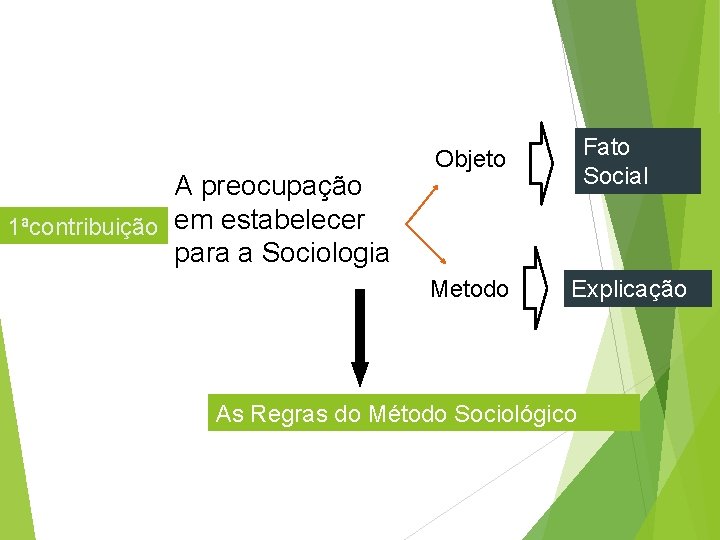 A preocupação 1ªcontribuição em estabelecer para a Sociologia Fato Social Objeto Metodo Explicação As