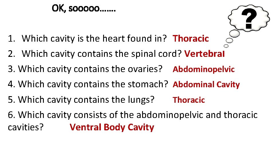 OK, sooooo……. 1. Which cavity is the heart found in? Thoracic 2. Which cavity