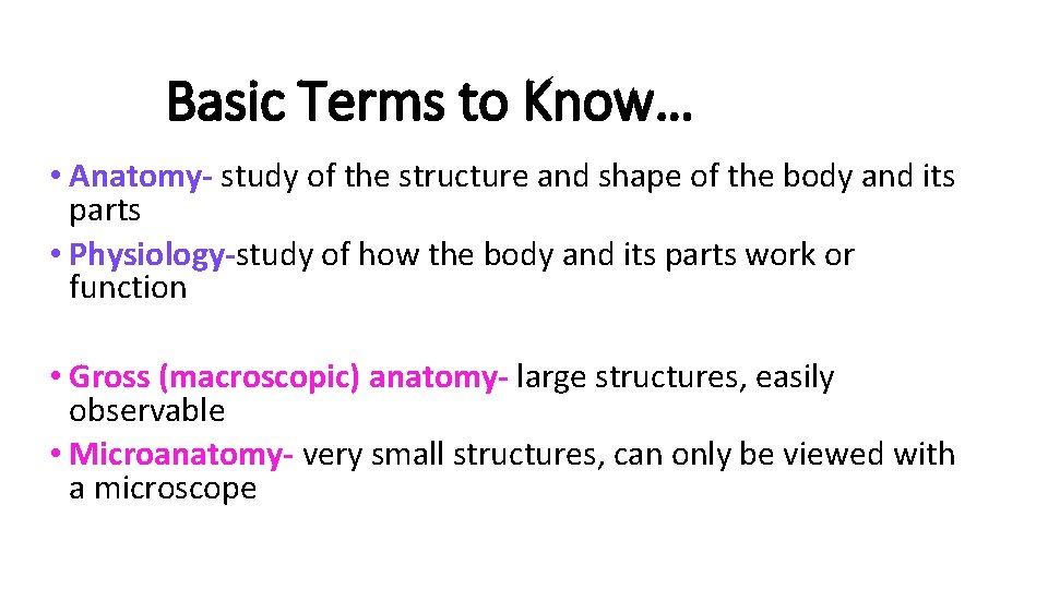 Basic Terms to Know… • Anatomy- study of the structure and shape of the