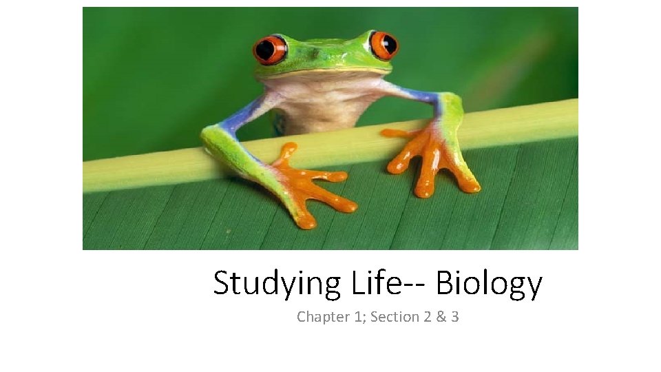 Studying Life-- Biology Chapter 1; Section 2 & 3 
