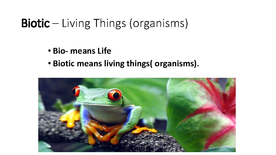 Biotic – Living Things (organisms) • Bio- means Life • Biotic means living things(