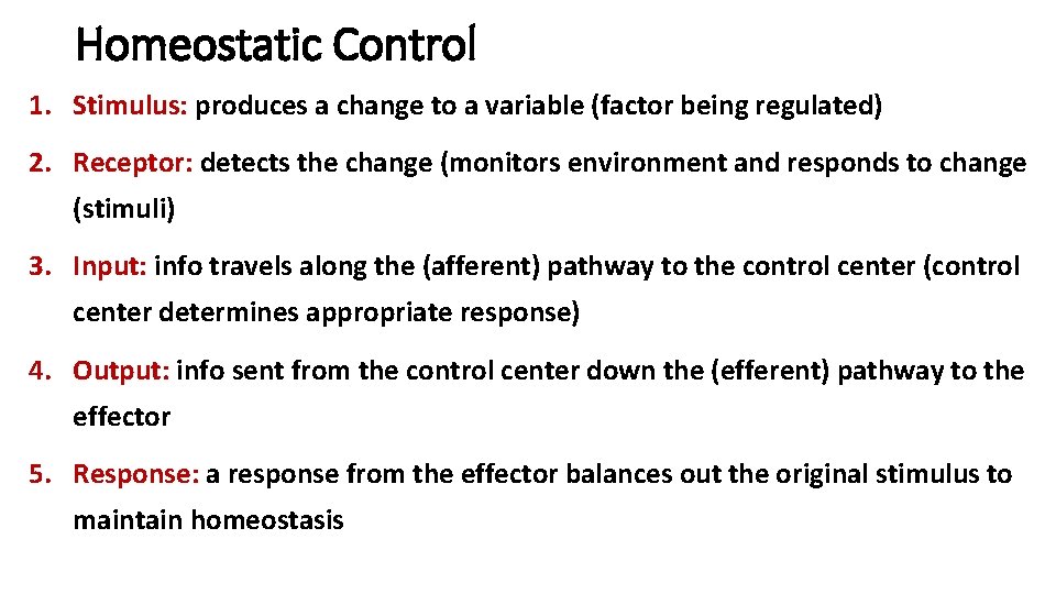 Homeostatic Control 1. Stimulus: produces a change to a variable (factor being regulated) 2.