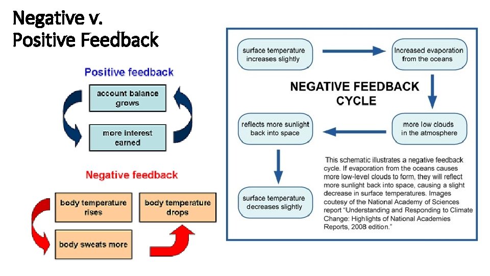 Negative v. Positive Feedback 