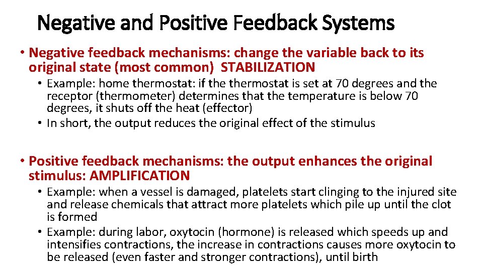 Negative and Positive Feedback Systems • Negative feedback mechanisms: change the variable back to