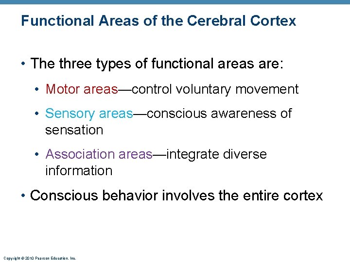 Functional Areas of the Cerebral Cortex • The three types of functional areas are: