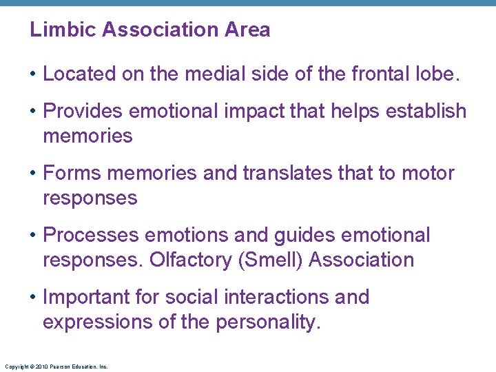 Limbic Association Area • Located on the medial side of the frontal lobe. •