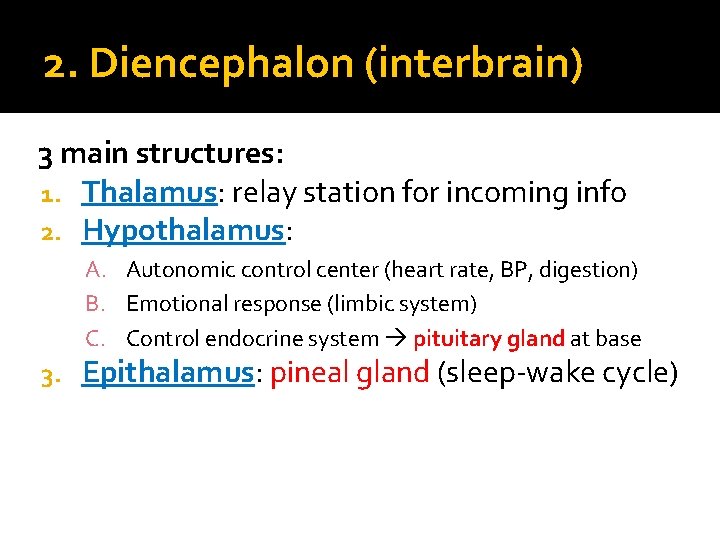 2. Diencephalon (interbrain) 3 main structures: 1. Thalamus: relay station for incoming info 2.