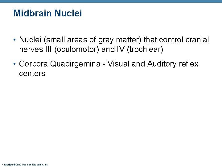 Midbrain Nuclei • Nuclei (small areas of gray matter) that control cranial nerves III