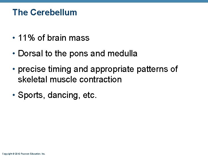 The Cerebellum • 11% of brain mass • Dorsal to the pons and medulla