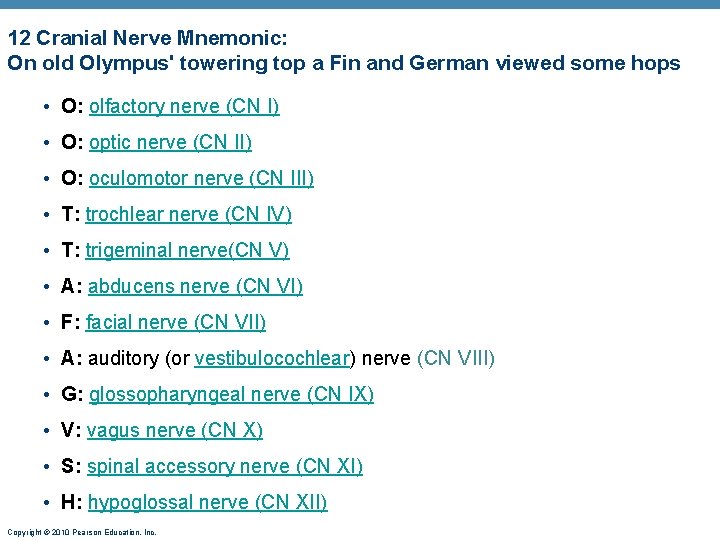 12 Cranial Nerve Mnemonic: On old Olympus' towering top a Fin and German viewed