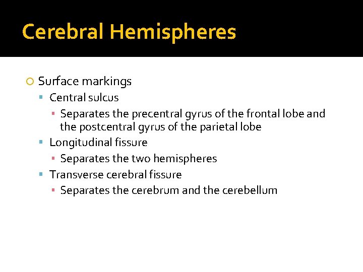 Cerebral Hemispheres Surface markings Central sulcus ▪ Separates the precentral gyrus of the frontal