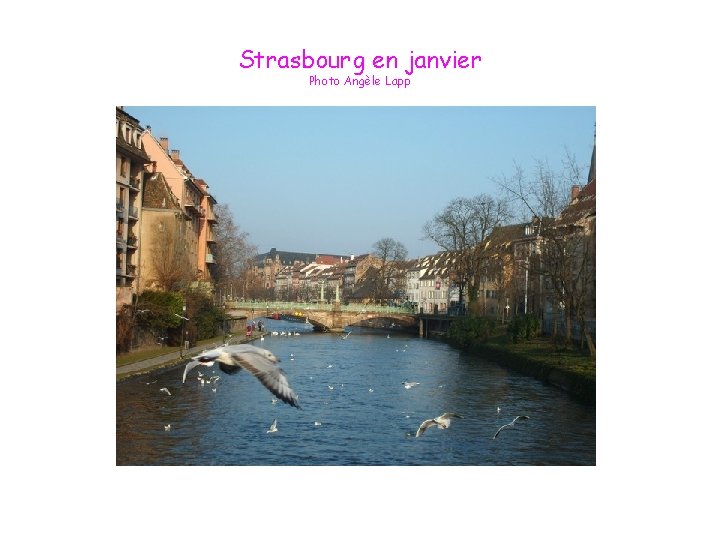 Strasbourg en janvier Photo Angèle Lapp 
