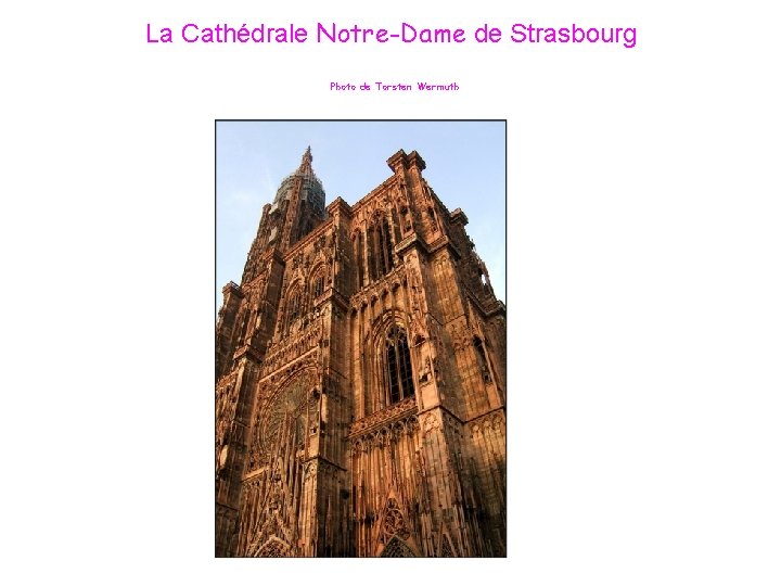 La Cathédrale Notre-Dame de Strasbourg Photo de Torsten Wermuth 