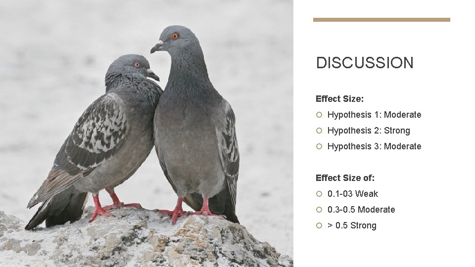 DISCUSSION Effect Size: Hypothesis 1: Moderate Hypothesis 2: Strong Hypothesis 3: Moderate Effect Size