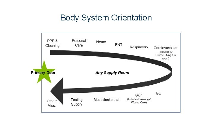 Body System Orientation 