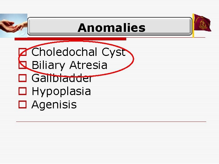 Anomalies o o o Choledochal Cyst Biliary Atresia Gallbladder Hypoplasia Agenisis 