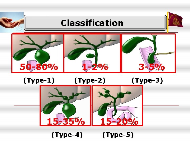 Classification 50 -80% (Type-1) 1 -2% (Type-2) 3 -5% (Type-3) 15 -35% 15 -20%