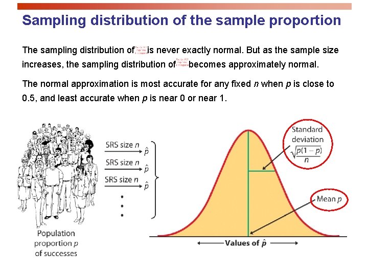 Sampling distribution of the sample proportion The sampling distribution of is never exactly normal.