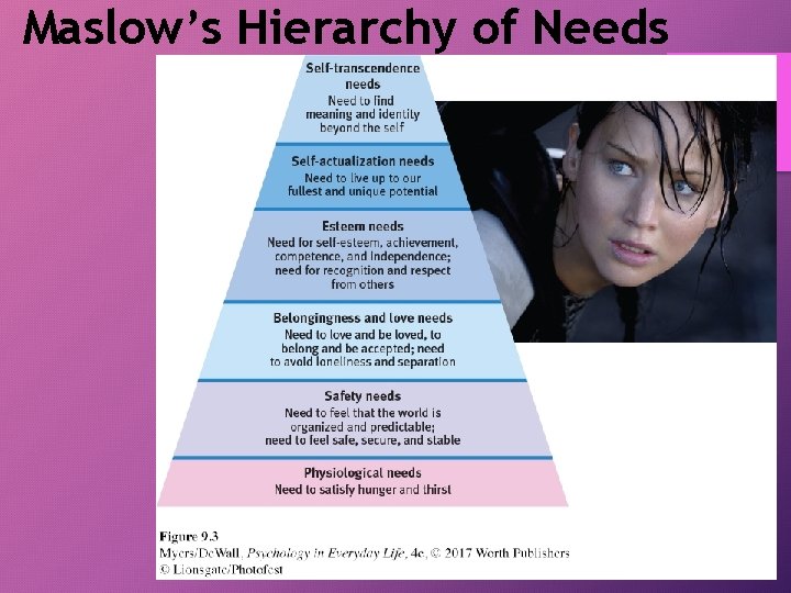 Maslow’s Hierarchy of Needs 