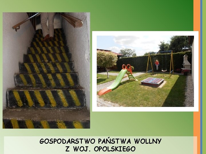 GOSPODARSTWO PAŃSTWA WOLLNY Z WOJ. OPOLSKIEGO 