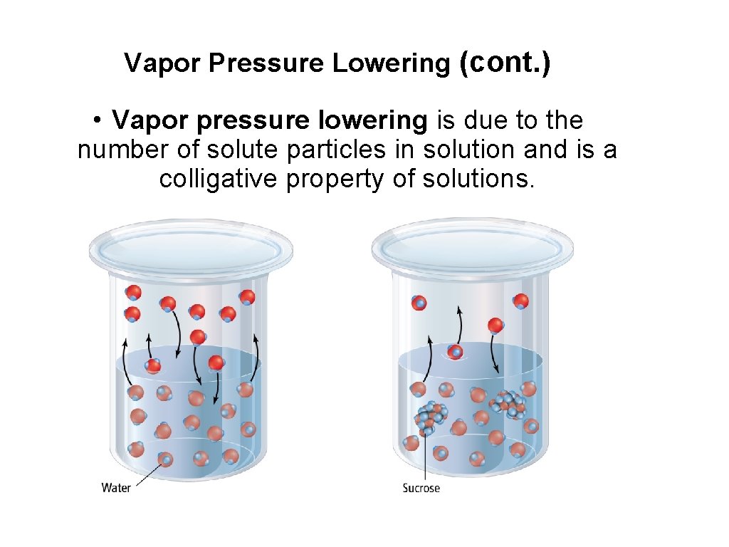 Vapor Pressure Lowering (cont. ) • Vapor pressure lowering is due to the number