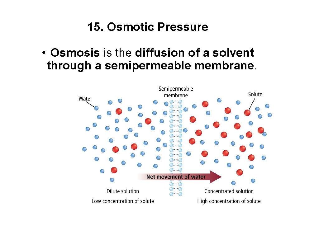 15. Osmotic Pressure • Osmosis is the diffusion of a solvent through a semipermeable