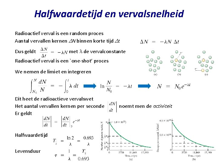 Halfwaardetijd en vervalsnelheid Radioactief verval is een random proces Aantal vervallen kernen DN binnen