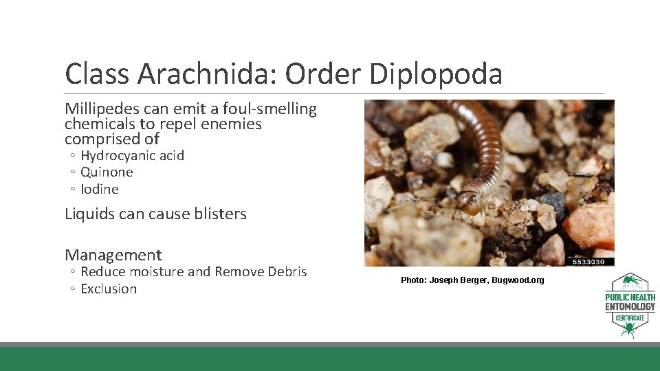 Class Arachnida: Order Diplopoda Millipedes can emit a foul-smelling chemicals to repel enemies comprised