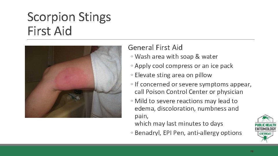 Scorpion Stings First Aid General First Aid ◦ Wash area with soap & water