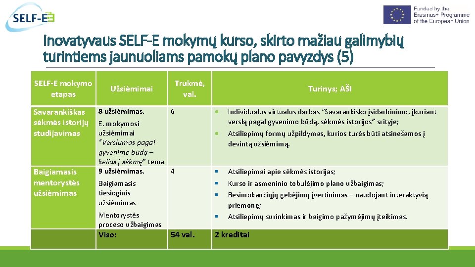 Inovatyvaus SELF-E mokymų kurso, skirto mažiau galimybių turintiems jaunuoliams pamokų plano pavyzdys (5) SELF-E