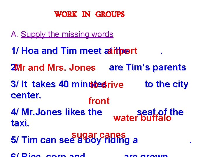 WORK IN GROUPS A. Supply the missing words airport 1/ Hoa and Tim meet